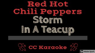 Red Hot Chili Peppers • Storm In A Teacup (CC) [Karaoke Instrumental Lyrics]