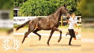 Video of Sturmpfeil 3