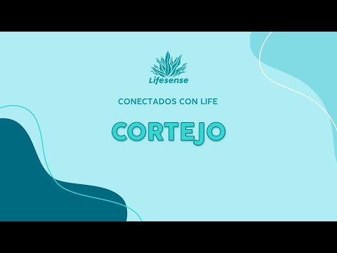 Cortejo - ¿Cómo coquetear?