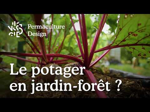 Waldgarten: Gemüseanbau im essbaren Ökosystem meistern