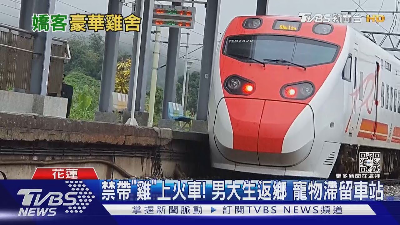 「旅客帶不走的雞」! 台鐵搭豪華雞舍VIP服務
