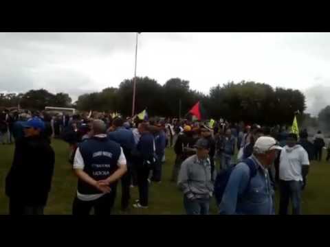 Rotonda Zárate 21.03.2016- 1