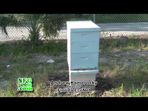 Bonner Center Community Garden - SFGgardens.com