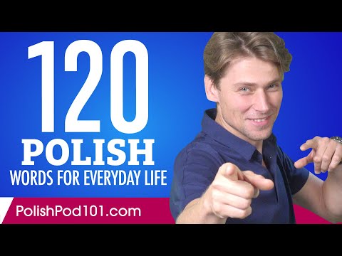 120 Polish Words for Everyday Life - Basic Vocabulary #6