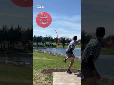 Lone Star Discs Warbirds are straight⛽️ #discgolf