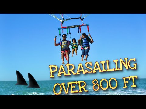 Parasailing in Florida over Dolphins | Gators Parasail