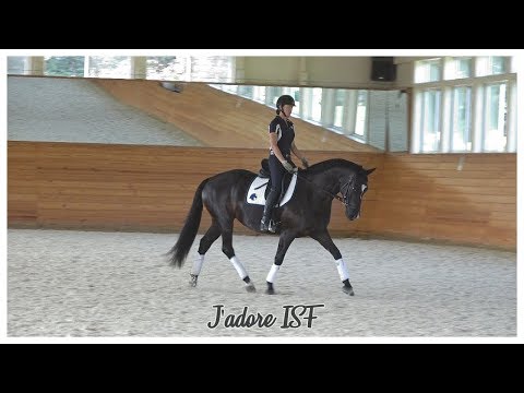 J'adore ISF at Iron Spring Farm, August 2018