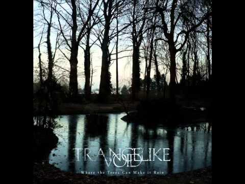 Trancelike Void - The Stone Pond