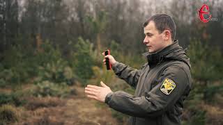 Хмельницькі лісівники показали, як вирощують ялинки до свят