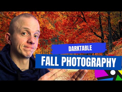 Capturing Fall's Palette: Darktable Techniques for Stunning Autumn Photos!