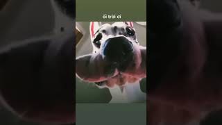 Download lagu Cận cảnh gái xinh⏭💯🆘trend tiktok 53 #shorts #girl mp3 Download lagu Cận cảnh gái xinh⏭💯🆘trend tiktok 53 #shorts #girl mp3