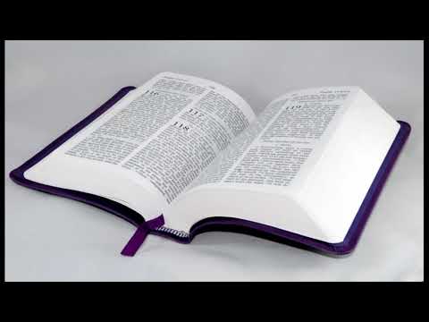 Bibel 2. Petrus - Kapitel 1, Hörbuch