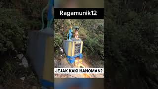 Download lagu Cerita Unik Nyata, Penemuan Jejak kaki Hanoman. mp3