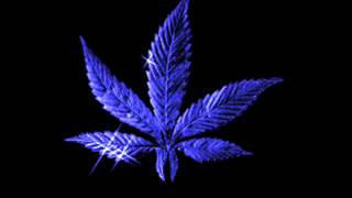 Roll Deep - The Avenue