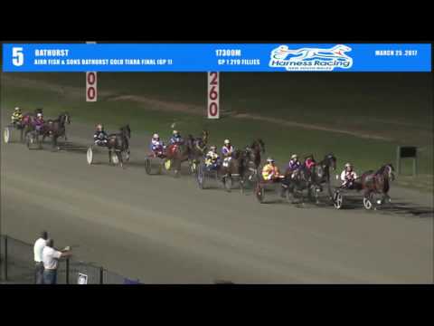BATHURST - 25/03/2017 - Race 5 - AIRR FISH & SONS BATHURST GOLD TIARA FINAL (GROUP 1)