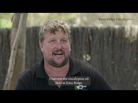 Kangaroo Island Christmas Dinner Catch-Up at Emu Ridge!