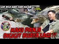 EVERYONE WATCHES PANJI IS TRAPPED IN A CROCODILE POND HIS FEET BECOME ANOTHER VICTIM ️