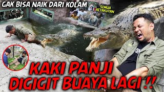 Download lagu SEMUA ORANG JADI SAKSI, PANJI KEJEBAK DI KOLAM BUAYA.. KAKI JADI KORBAN LAGI ‼️ mp3