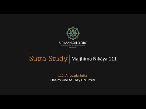 MN 111 (Anupada Sutta / One by One As They Occurred) study and Q&A