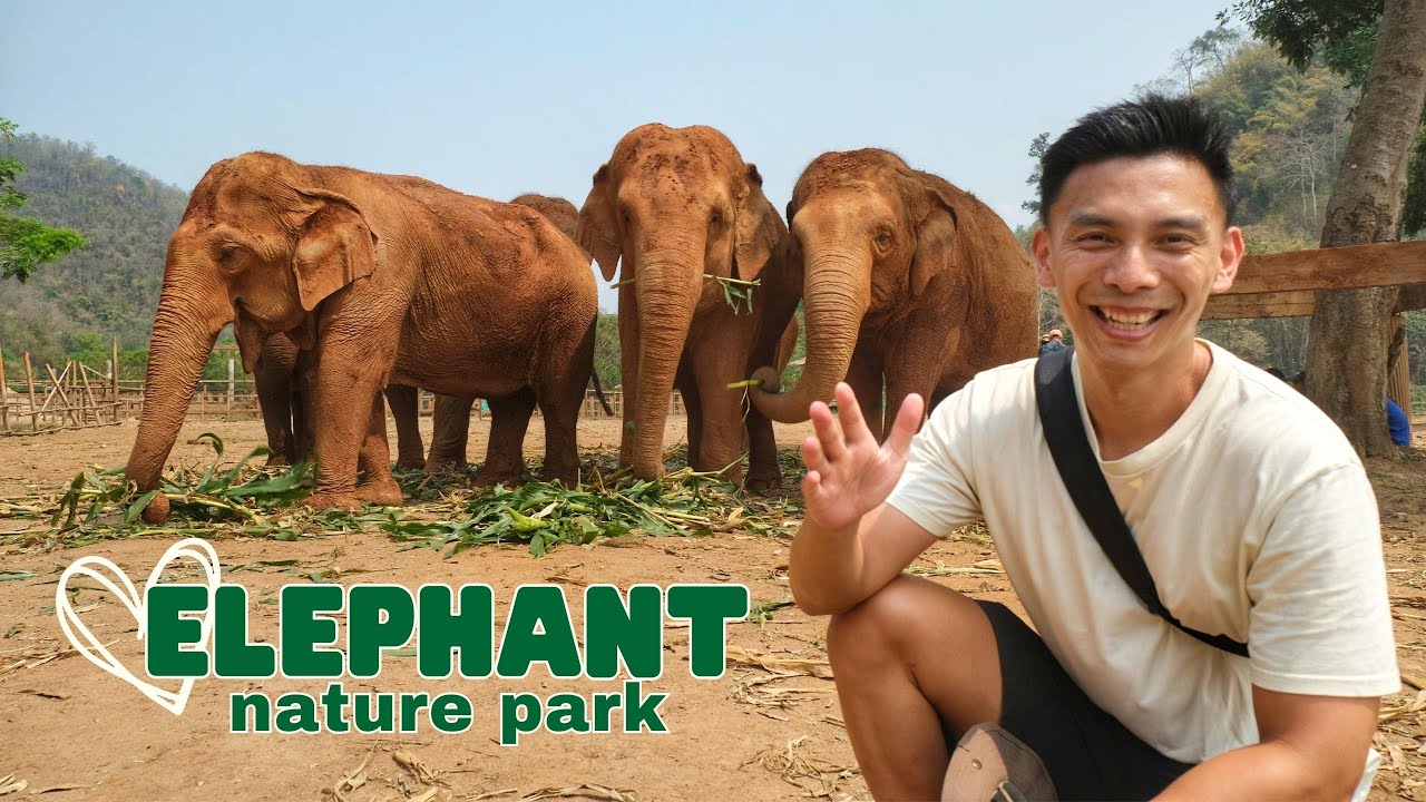 Join a duo on a captivating journey through the Elephant Nature Park.