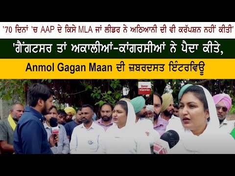 AAP MLA Anmol Gagan Maan - CM Bhagwant Mann - Aam Aadmi Party Leader - Gangster in Punjab