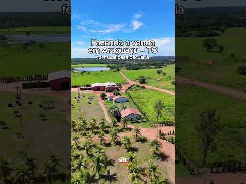 Fazenda de alto nível  à venda em Araguaçu – TO | 2.037 hectares #agro #fazendaavenda