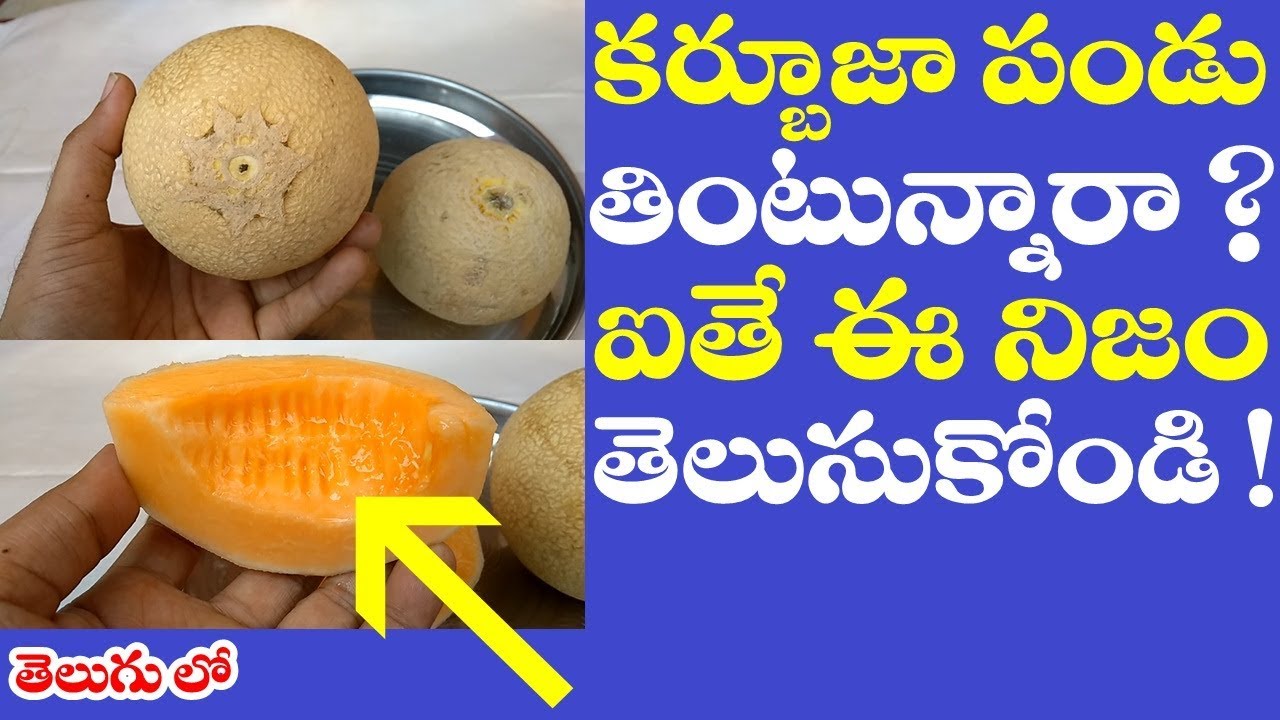 కర్బూజా పండు తింటున్నారా ? ఐతే ఈ నిజం తెలుసుకోండి || Muskmelon Best Benefits and Uses in telugu