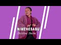Christina Shusho NIMEHESABU
