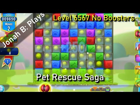 Pet Rescue Saga Level 6567 No Boosters