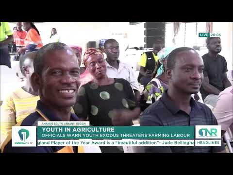 Youth Abandon Farming for Galamsey, Raising Labour Shortage Fears in Amansie South