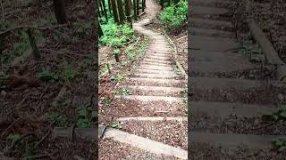 Mt. Iwawaki Hiking 岩湧山ハイキング(2025)