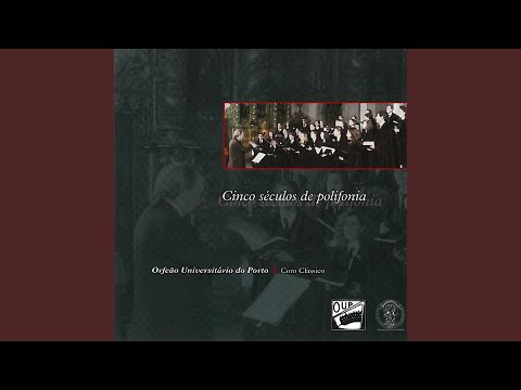 O milho da nossa terra