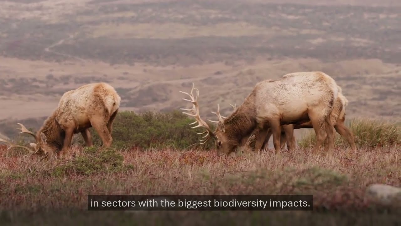 Ceres in Action: Protecting Nature