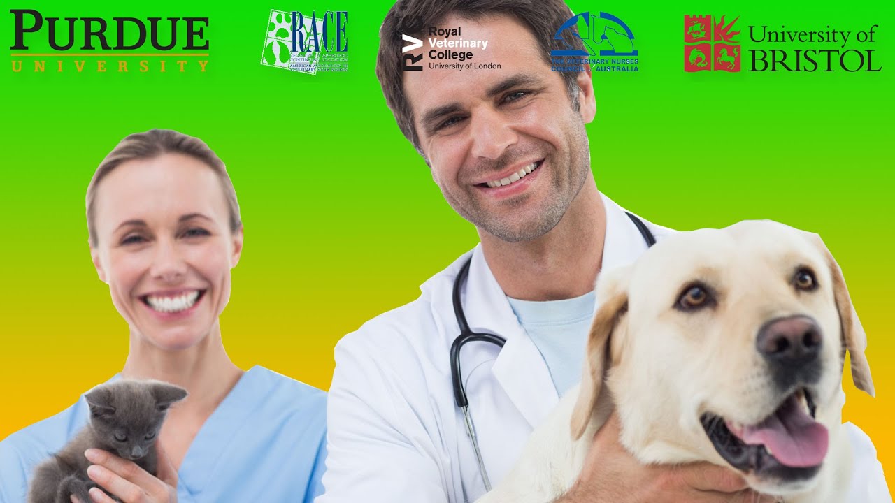 Veterinary Education – Continuing Education