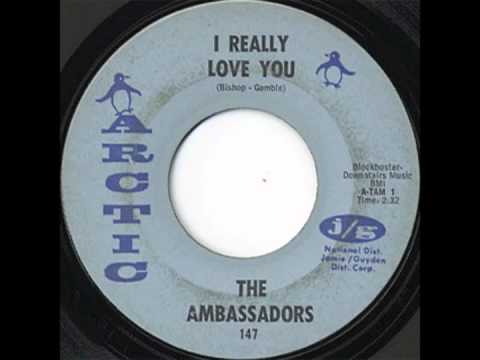 The Ambassadors - I Really Love You