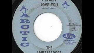The Ambassadors - I Really Love You