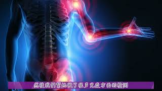 黴菌鼻竇炎與免疫系統全方位治療│梁凱莉醫師