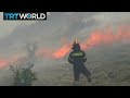 greece wildfires state of emergency declared as wildfires burn