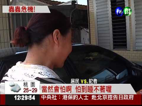 夜盜蟲入侵壯圍 啃食農作趕不走