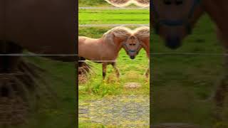 Memories of our trip featuring mostly our Virgin Voyages Iceland Trip