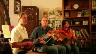 Foghorn Trio - Greenback Dollar