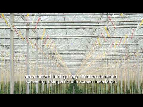 Air and Energy concept