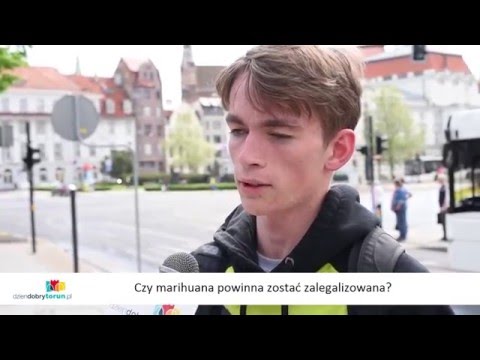 Marihuana legalna? - torunianie "za", czy "przeciw"?
