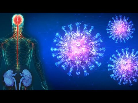 Corona-News: Die Nieren als Klärwerk des Körpers | Prof. Dr. Martin Zeier | Prof. Dr. Felix Herth