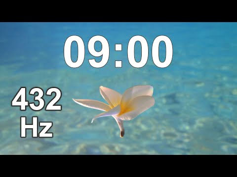 9 Minute Timer - Countdown Clock