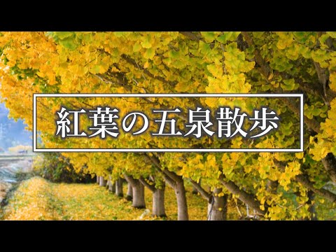 紅葉の五泉散歩