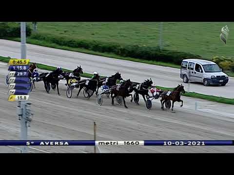 Aversa trotto 10 Marzo 2021 - 5° Corsa