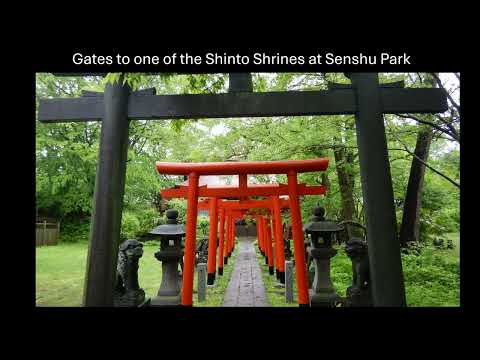 Circumnavigating Japan