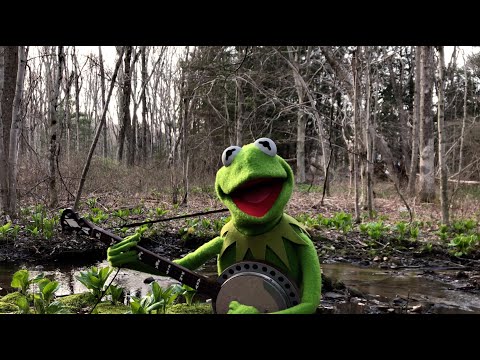 Kermit The Frog Gives A Beautiful, Heartwarming Rendition Of 'Rainbow Connection'