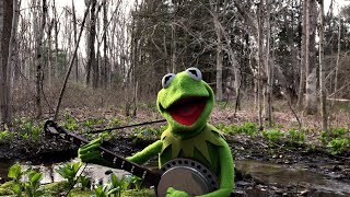 A Special Performance of Rainbow Connection from Kermit the Frog | The Muppets